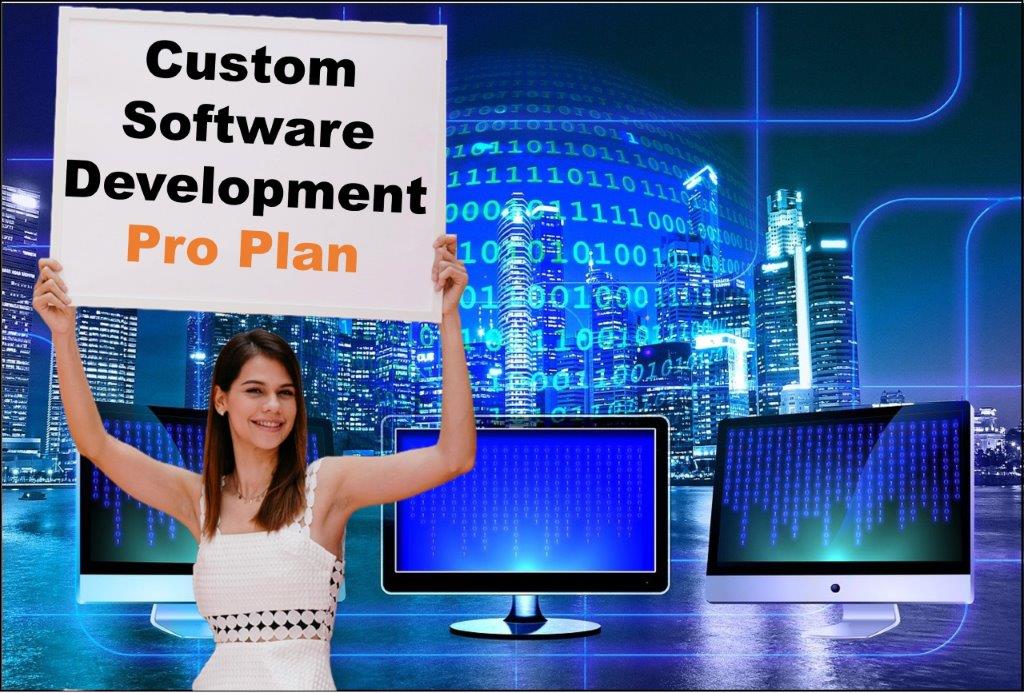 custom software development agency in Salt Lake City Utah