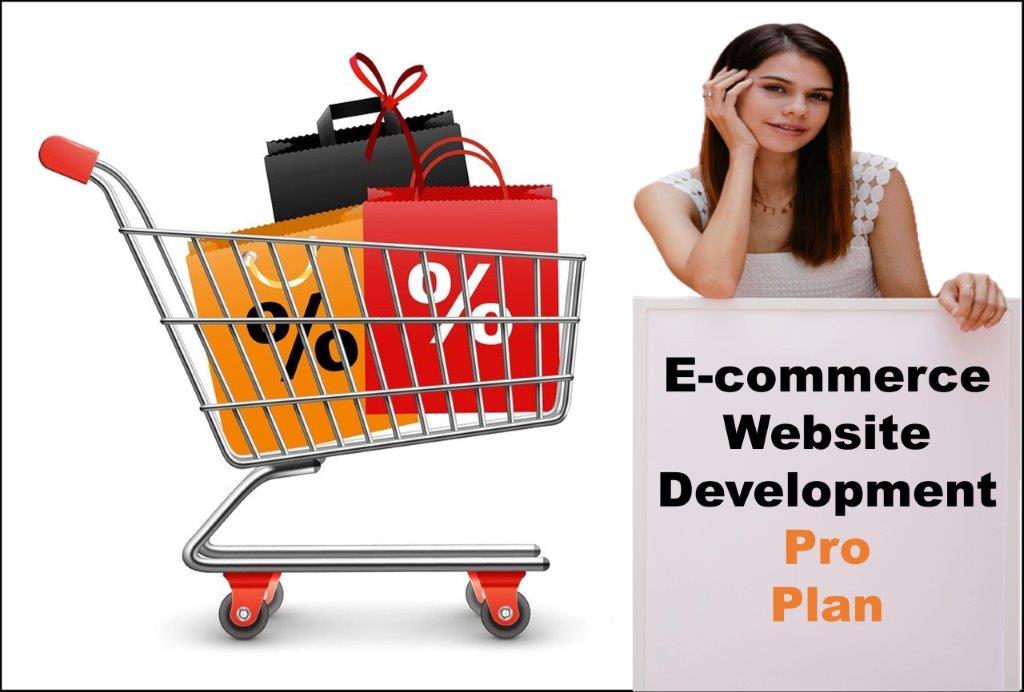 professional ecommerce website development agency in Salt Lake City Utah