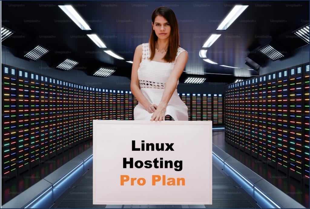 linux hosting windows hosting provider in Salt Lake City Utah
