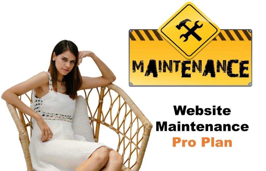 website maintenance agency in Salt Lake City Utah