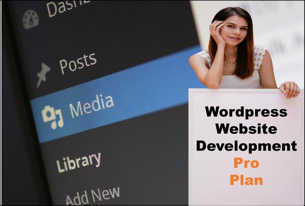 wordpress website designing in Salt Lake City Utah