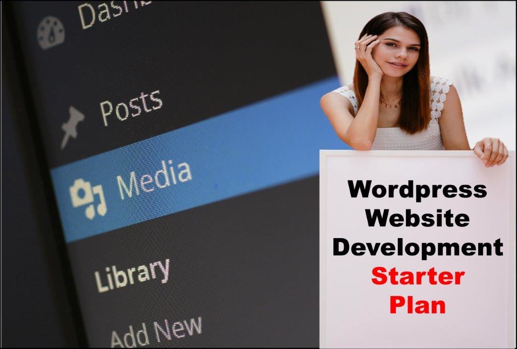 Wordpress Website Development in Salt Lake City Utah